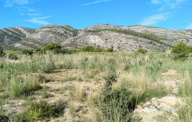 Descubre finca rstica por 36500 de 10630m en c5 parcela coniller Oropesa del MarOrpesa