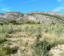 Descubre finca rstica por 36500 de 10630m en c5 parcela coniller Oropesa del MarOrpesa