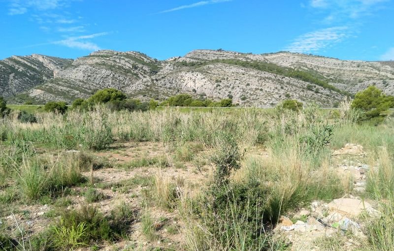 Descubre finca rstica por 36500 de 10630m en c5 parcela coniller Oropesa del MarOrpesa