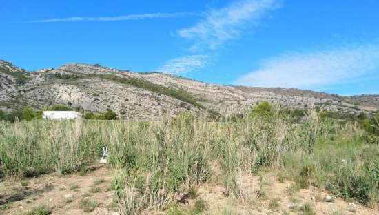 Descubre finca rstica por 36500 de 10630m en c5 parcela coniller Oropesa del MarOrpesa