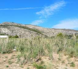 Descubre finca rstica por 36500 de 10630m en c5 parcela coniller Oropesa del MarOrpesa