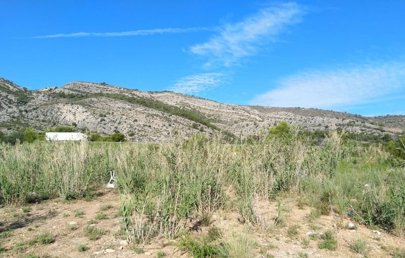 Descubre finca rstica por 36500 de 10630m en c5 parcela coniller Oropesa del MarOrpesa