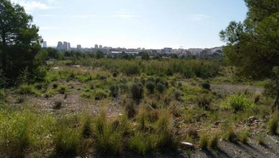 Descubre finca rstica por 36500 de 10630m en c5 parcela coniller Oropesa del MarOrpesa