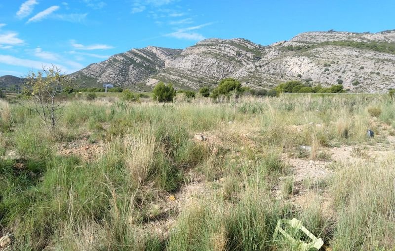 Descubre finca rstica por 36500 de 10630m en c5 parcela coniller Oropesa del MarOrpesa