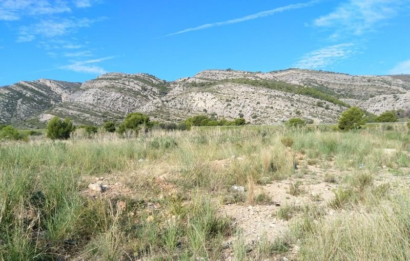 Descubre finca rstica por 36500 de 10630m en c5 parcela coniller Oropesa del MarOrpesa