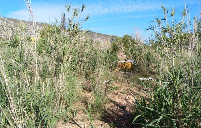 Descubre finca rstica por 36500 de 10630m en c5 parcela coniller Oropesa del MarOrpesa