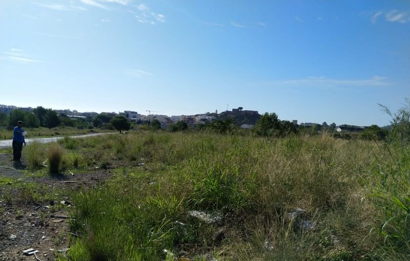 Descubre finca rstica por 36500 de 10630m en c5 parcela coniller Oropesa del MarOrpesa