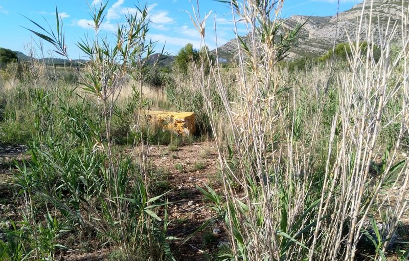 Descubre finca rstica por 36500 de 10630m en c5 parcela coniller Oropesa del MarOrpesa