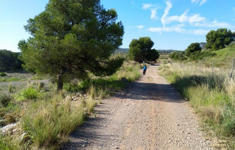 Descubre finca rstica por 36500 de 10630m en c5 parcela coniller Oropesa del MarOrpesa