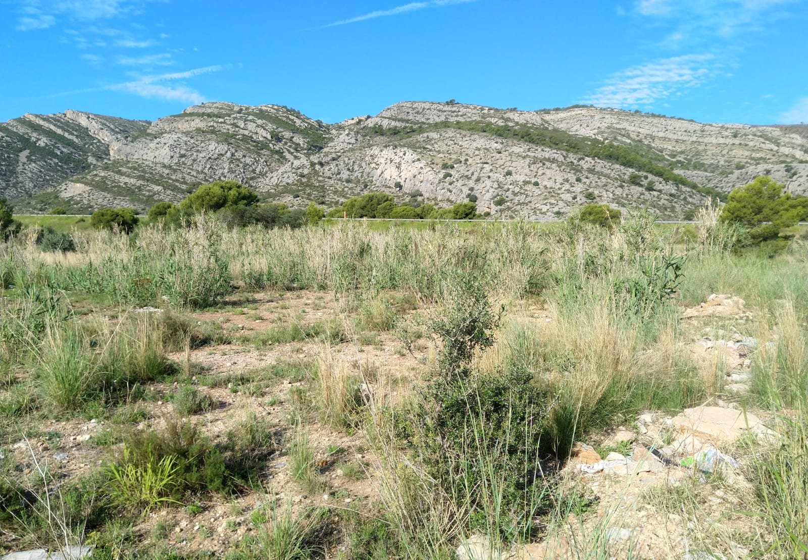 Terreno Rústico en venta en Oropesa Del Mar, Castellón