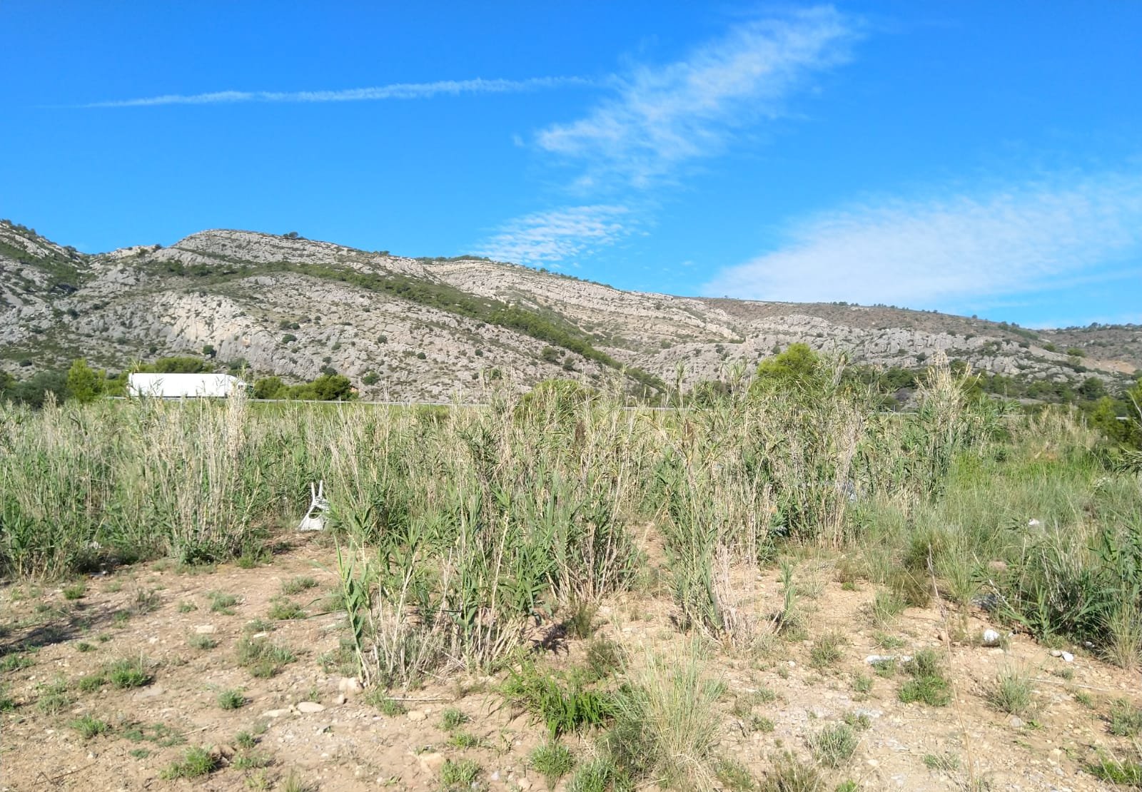 Terreno Rústico en venta en Oropesa Del Mar, Castellón