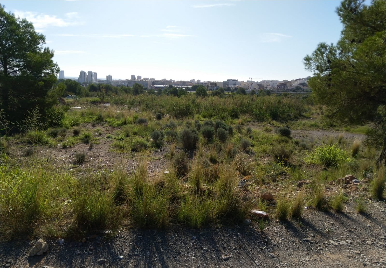 Terreno Rústico en venta en Oropesa Del Mar, Castellón