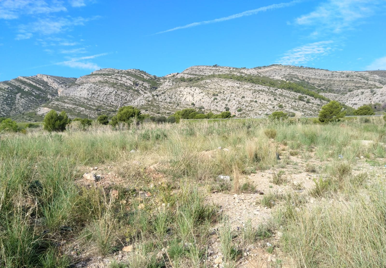 Terreno Rústico en venta en Oropesa Del Mar, Castellón