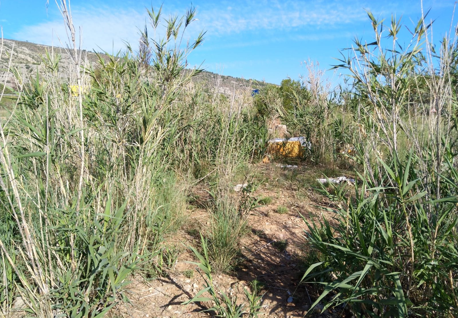 Terreno Rústico en venta en Oropesa Del Mar, Castellón