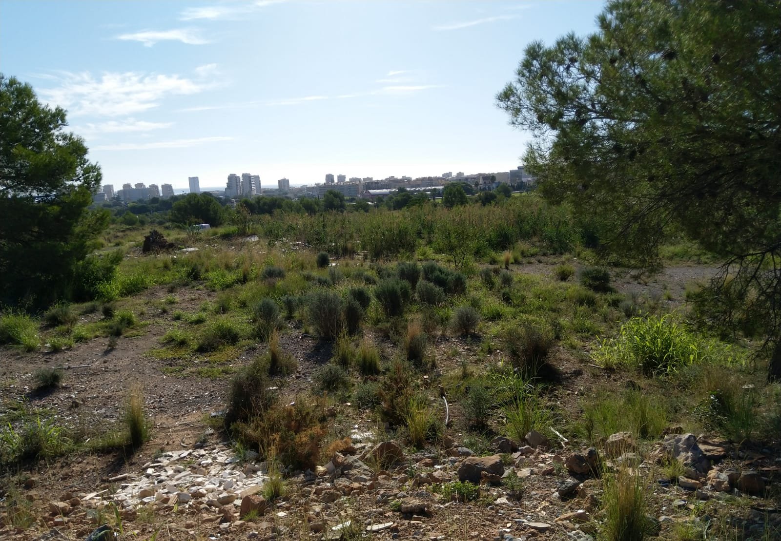 Terreno Rústico en venta en Oropesa Del Mar, Castellón