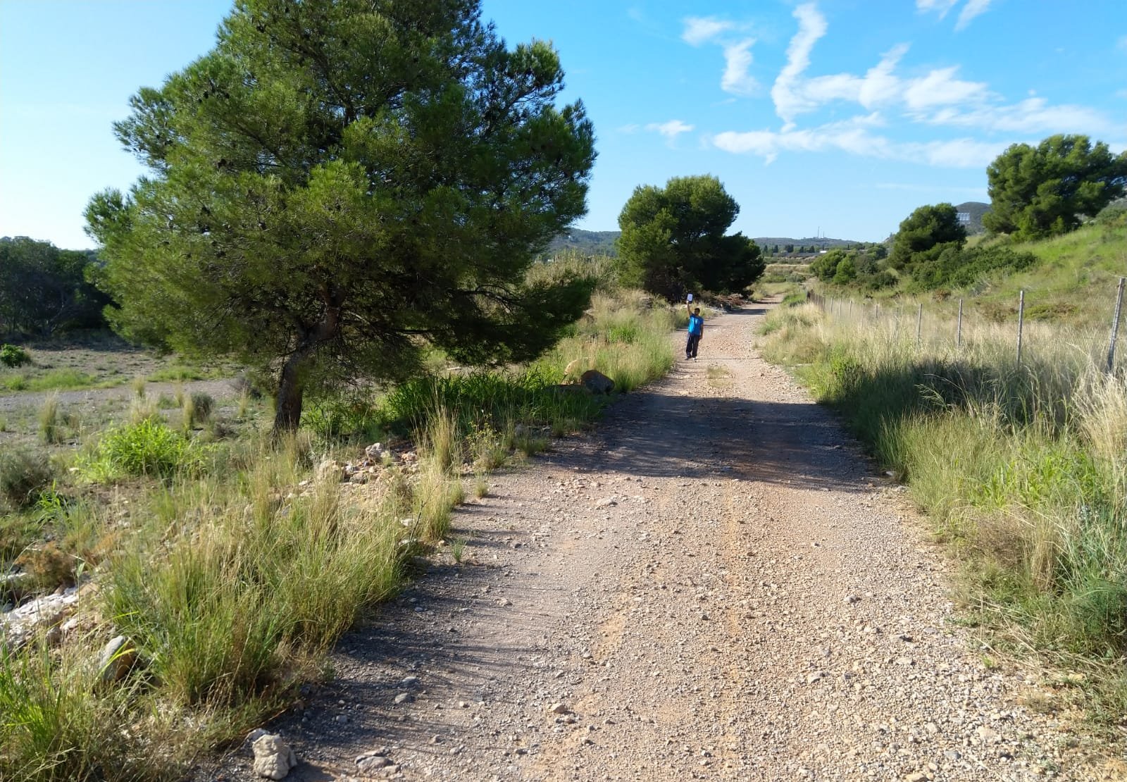 Terreno Rústico en venta en Oropesa Del Mar, Castellón