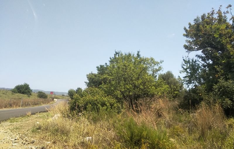 Descubre finca rstica por 36500 de 10630m en c5 parcela coniller Oropesa del MarOrpesa