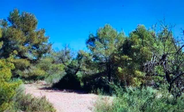 Suelo rústico no urbanizable en venta en Partida Redonet, Bajo, 46000, Náquera Valencia