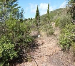 Terreno Rústico en venta en Benigánim, Valencia