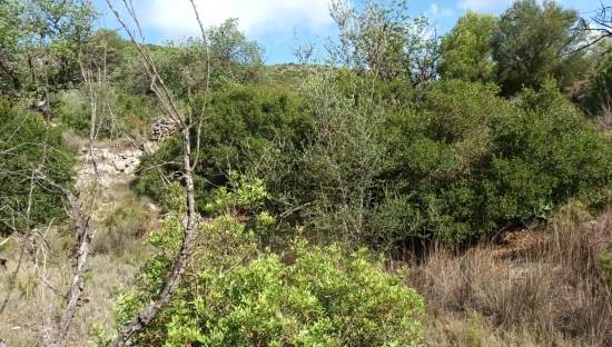 Terreno Rústico en venta en Benigánim, Valencia