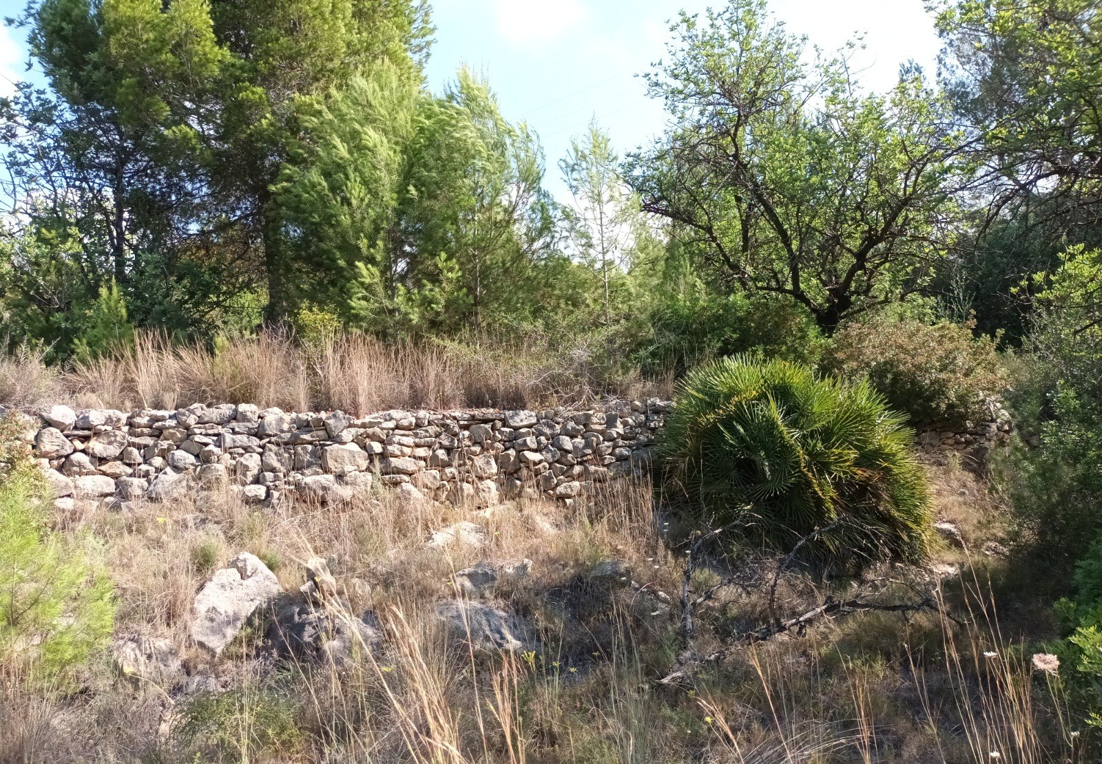 Terreno Rústico en venta en Benigánim, Valencia