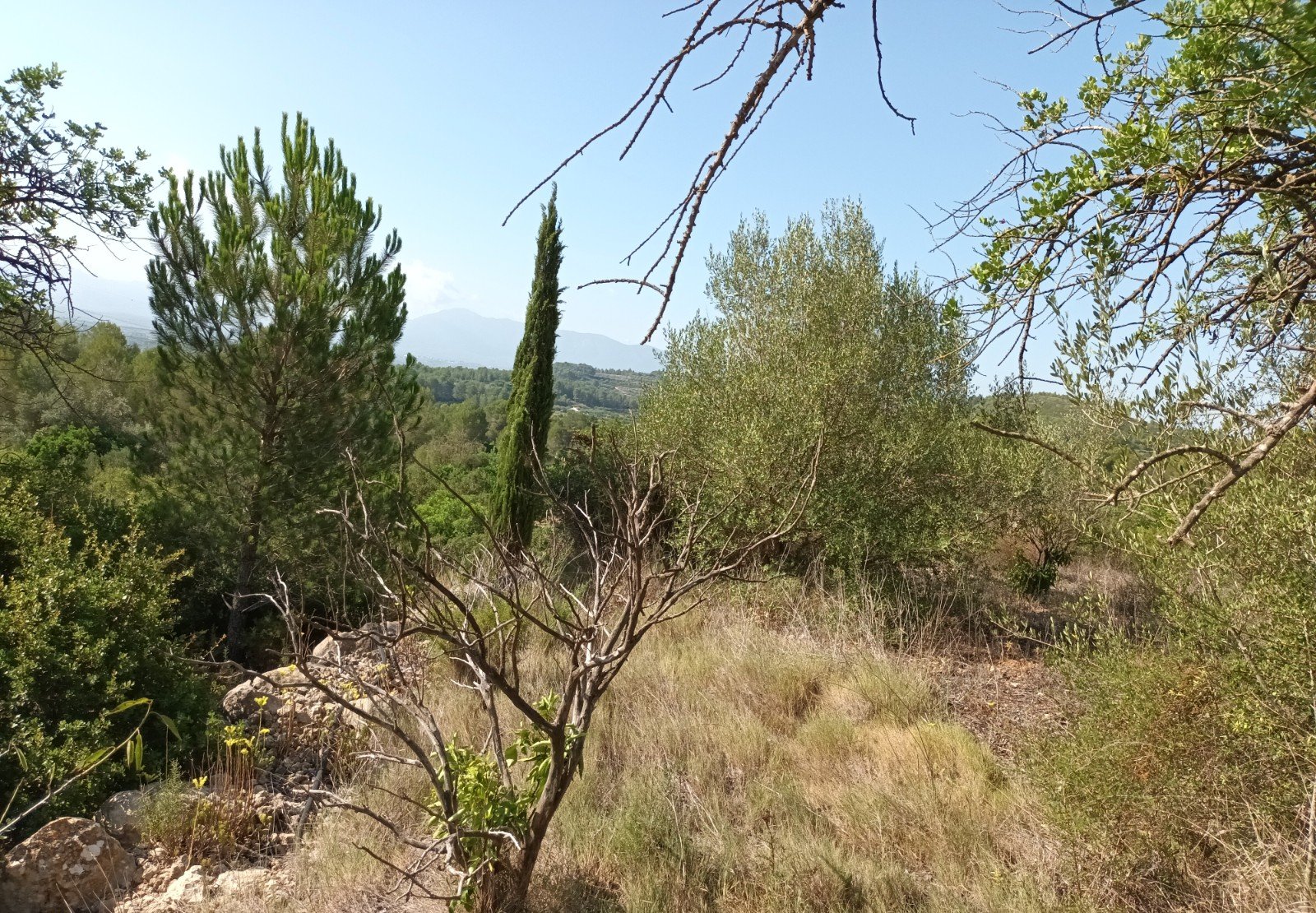 Terreno Rústico en venta en Benigánim, Valencia