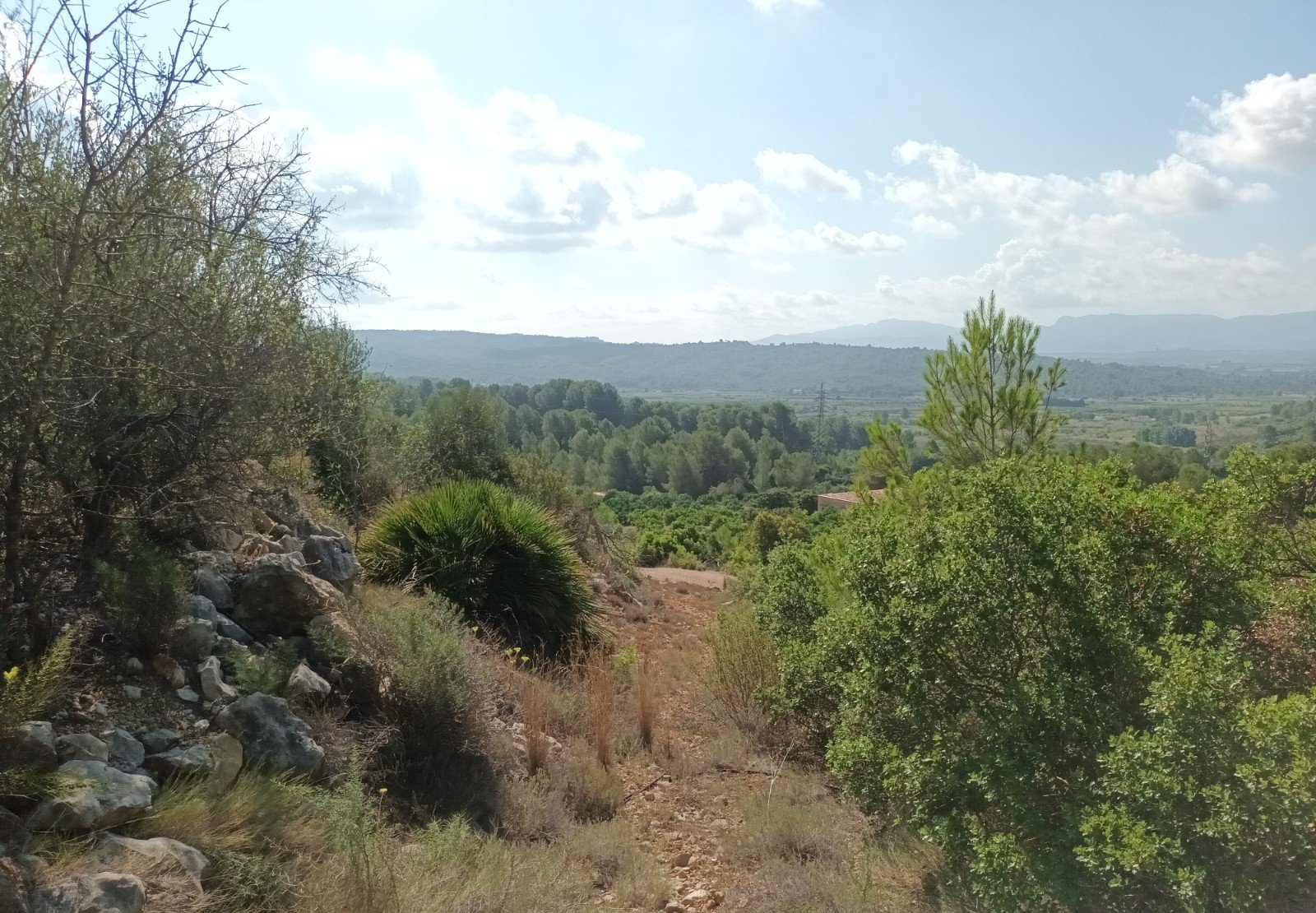 Terreno Rústico en venta en Benigánim, Valencia