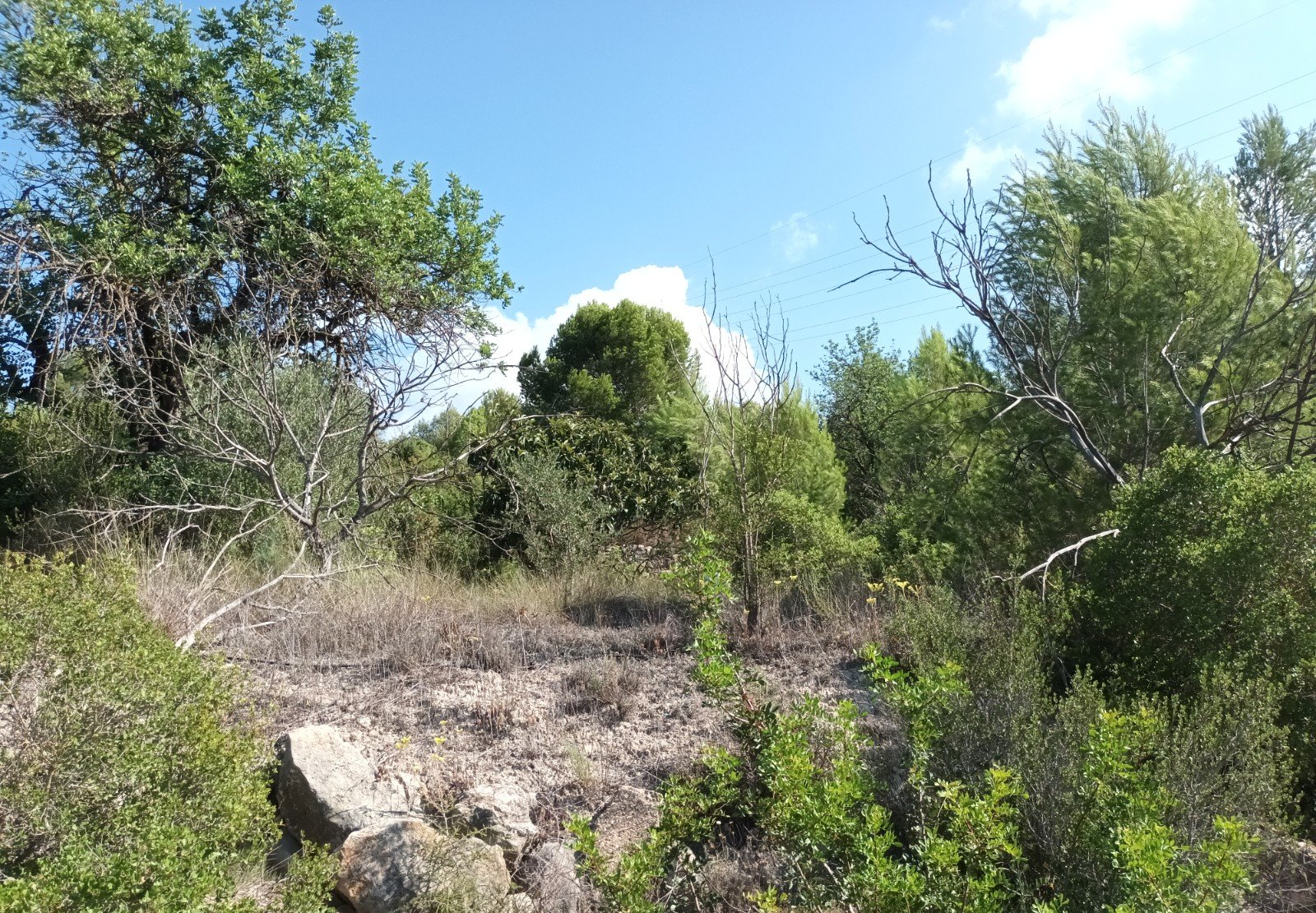 Terreno Rústico en venta en Benigánim, Valencia