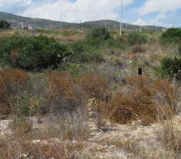 Suelo en Av del Pinar - Ptda Pichell -