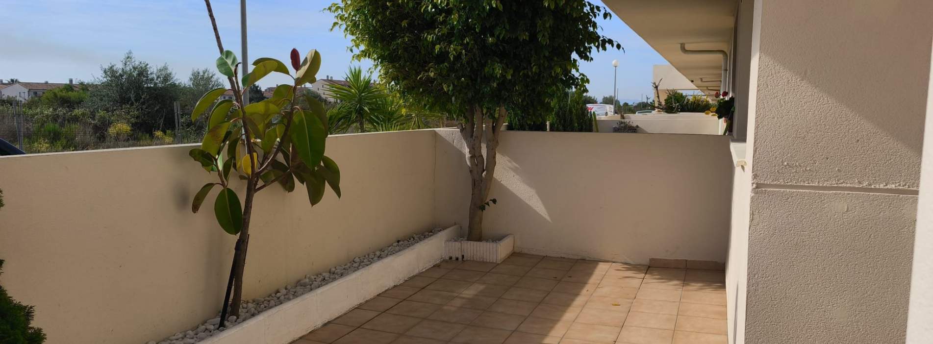 Planta Baja en venta en Sant Jordi, Castellón