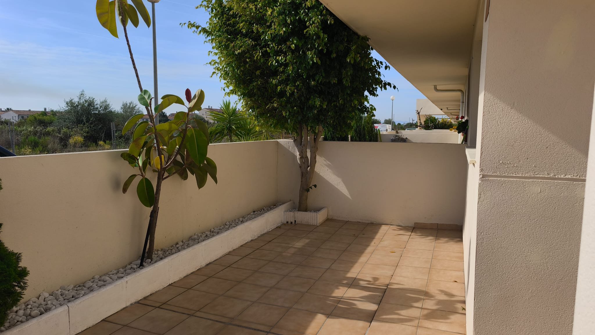 Planta Baja en venta en Sant Jordi, Castellón