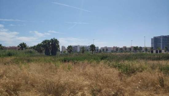 Solar en venta en Avenida Espanya Moncofa Castelln