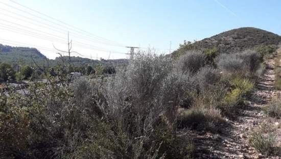 Descubre suelo urbanizable residencial en calle 4 parcela orpesa Oropesa del MarOrpesa por 12000 con 3601m