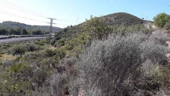 Descubre suelo urbanizable residencial en calle 4 parcela orpesa Oropesa del MarOrpesa por 12000 con 3601m