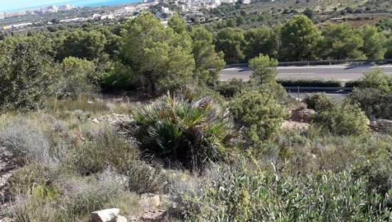 Descubre suelo urbanizable residencial en calle 4 parcela orpesa Oropesa del MarOrpesa por 12000 con 3601m
