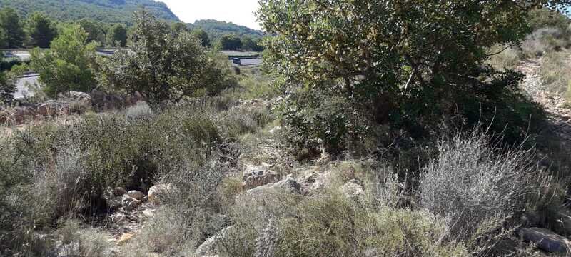Terreno Rústico en venta en Oropesa Del Mar, Castellón
