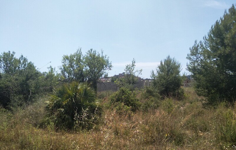 Terreno Rústico en venta en Oropesa Del Mar, Castellón