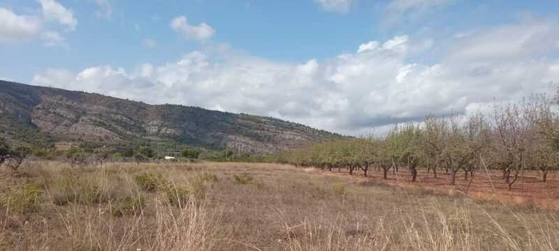 Terreno Rústico en venta en Oropesa Del Mar, Castellón