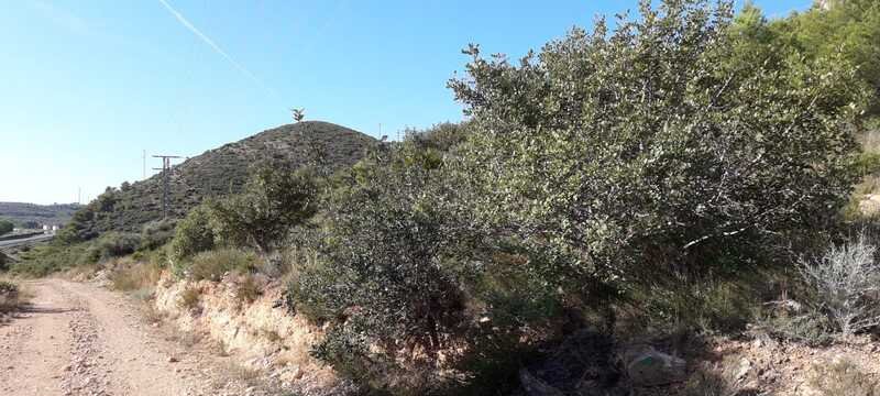 Terreno Rústico en venta en Oropesa Del Mar, Castellón