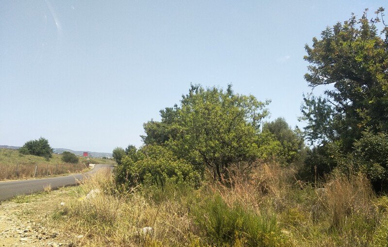 Terreno Rústico en venta en Oropesa Del Mar, Castellón