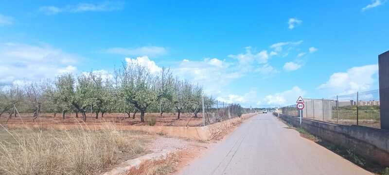 Terreno Rústico en venta en Oropesa Del Mar, Castellón
