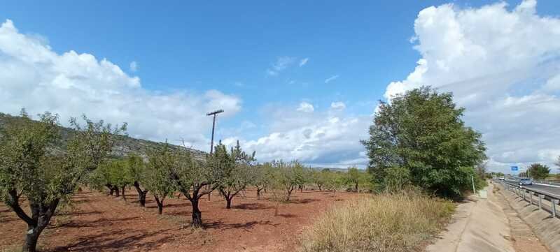 Terreno Rústico en venta en Oropesa Del Mar, Castellón