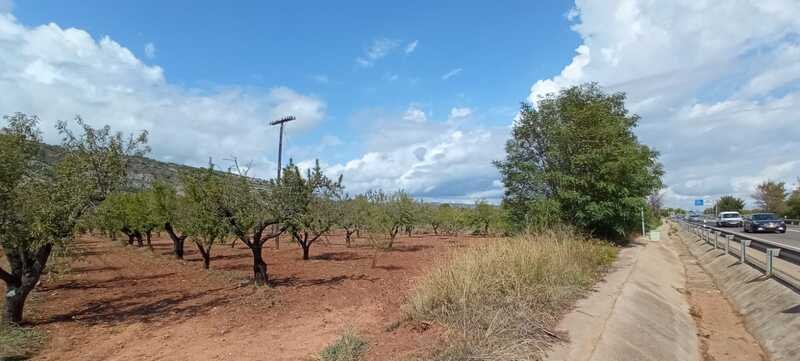 Terreno Rústico en venta en Oropesa Del Mar, Castellón