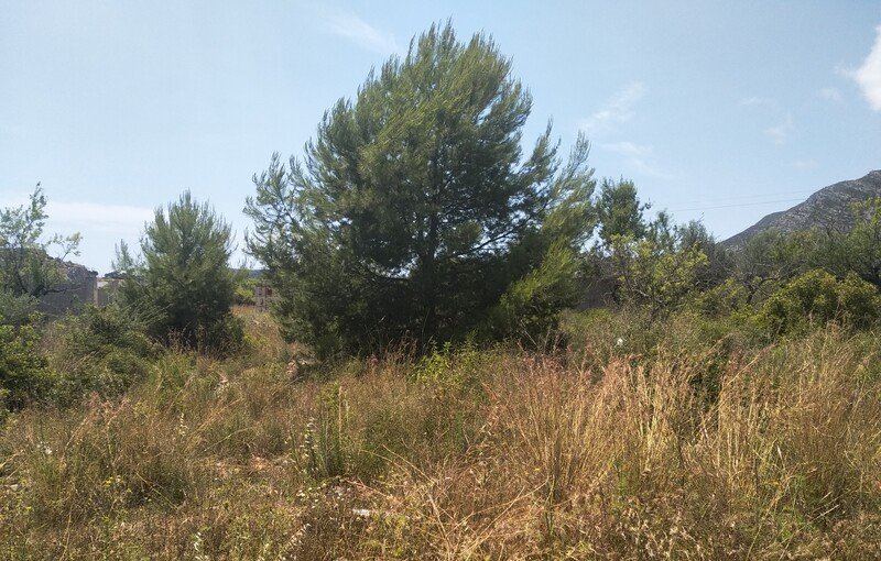 Terreno Rústico en venta en Oropesa Del Mar, Castellón