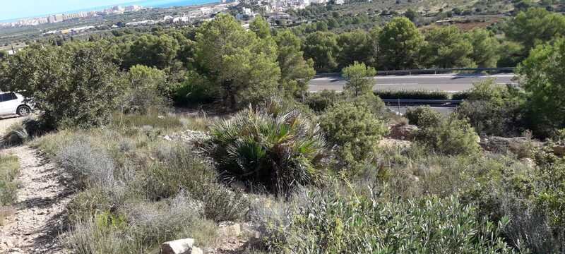 Terreno Rústico en venta en Oropesa Del Mar, Castellón