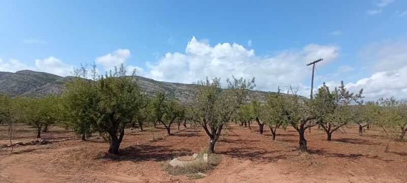 Terreno Rústico en venta en Oropesa Del Mar, Castellón