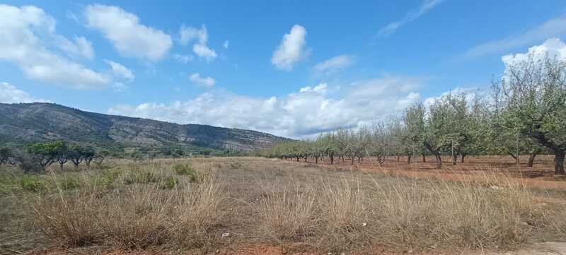 Terreno Rústico en venta en Oropesa Del Mar, Castellón