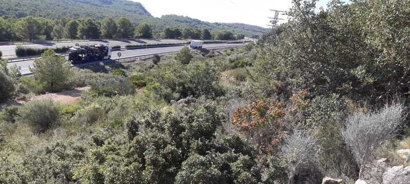 Terreno Rústico en venta en Oropesa Del Mar, Castellón