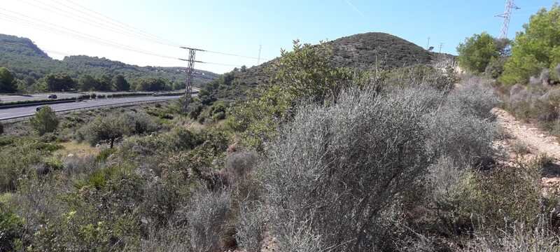 Terreno Rústico en venta en Oropesa Del Mar, Castellón