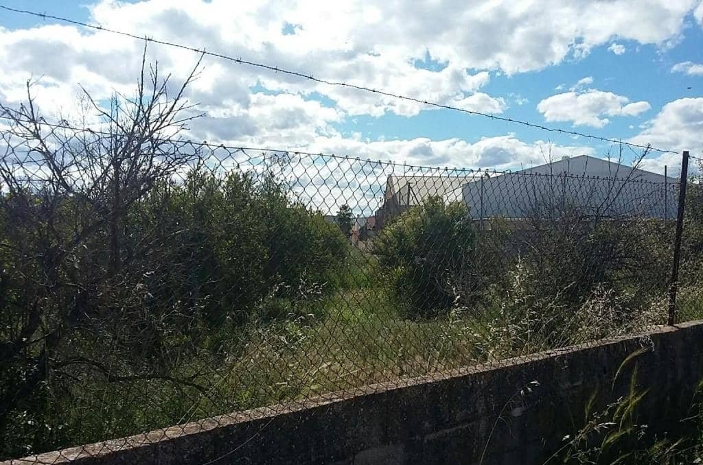 Urbanizable Programado en venta  en Camino Xativa Alcntera De Xquer Valencia